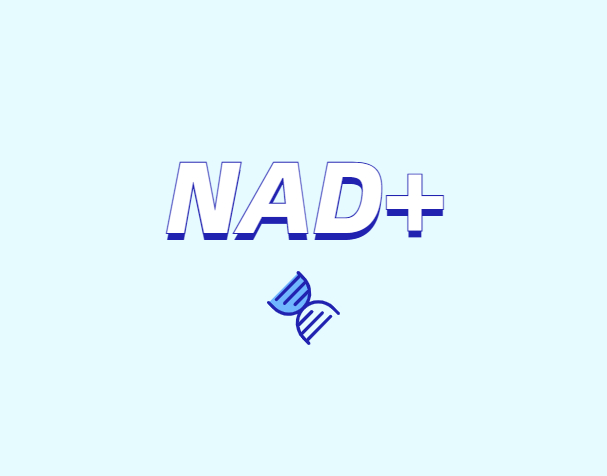 煙酰胺如何控制皮膚老化：NAD/NADH與NMN的關(guān)鍵作用