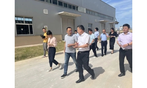 市委常委、副市長(zhǎng)呂棟來(lái)公司調(diào)研