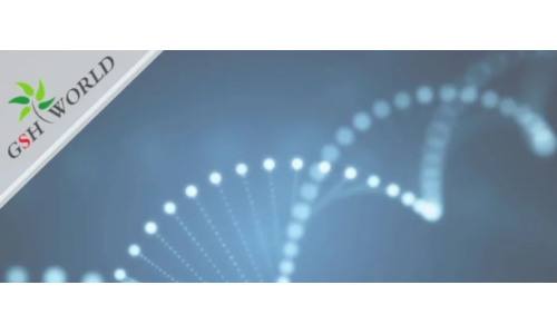 行業(yè)關(guān)注 - 胞磷膽堿保護(hù)大腦的7大好處