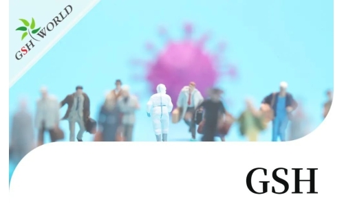 行業(yè)關(guān)注 - 增強(qiáng) GSH 可能是對抗新冠疾病的有效療法