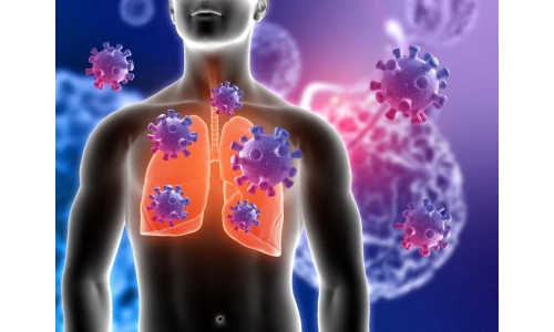 鐘南山：6月底將迎來二陽高峰！危害更大？NMN能有效抵御“二陽”！