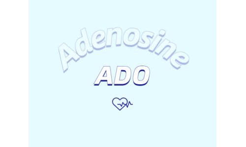 洗護(hù)用品中添加腺苷是否有防脫發(fā)功能？