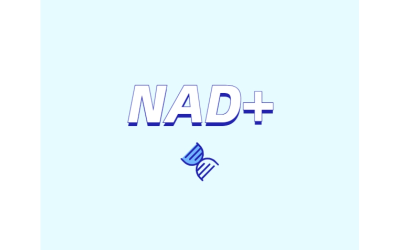NAD與NMN的全新概念？